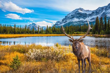 Jasper, Canada