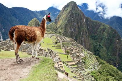 Machu Picchu