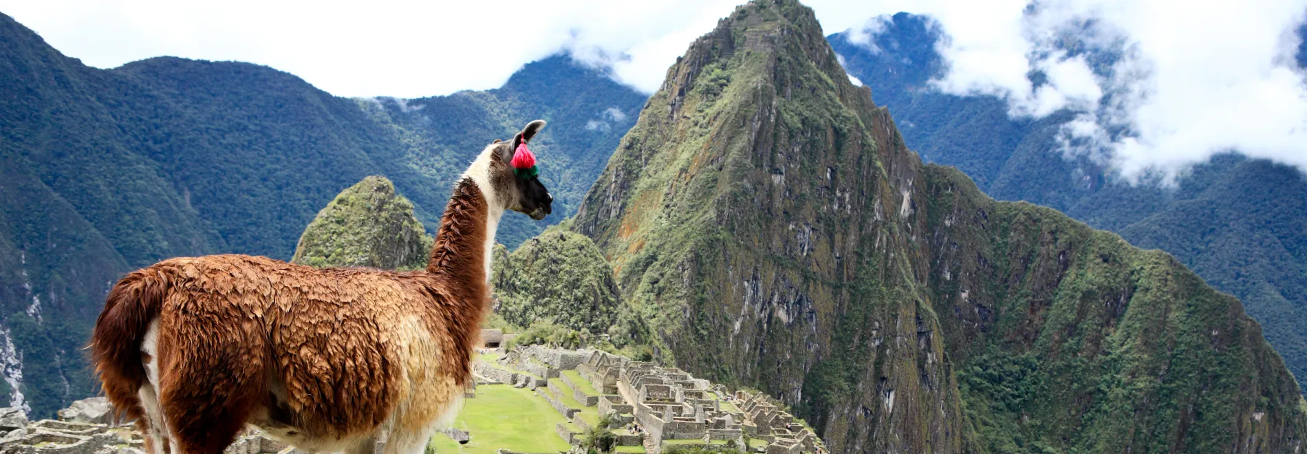 Machu Picchu