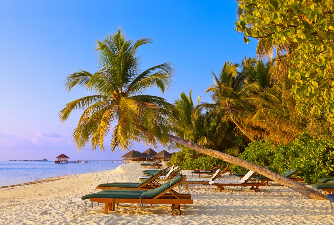 Maldives sun loungers