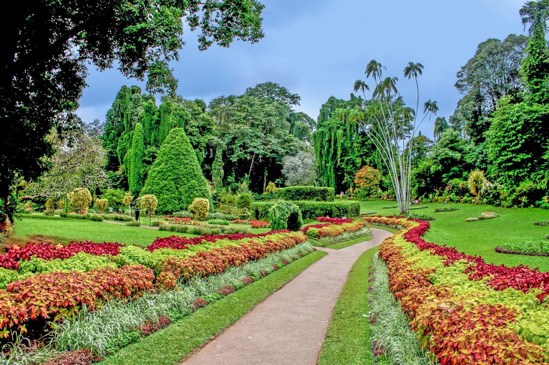 Royal Botanical Gardens, Kandy